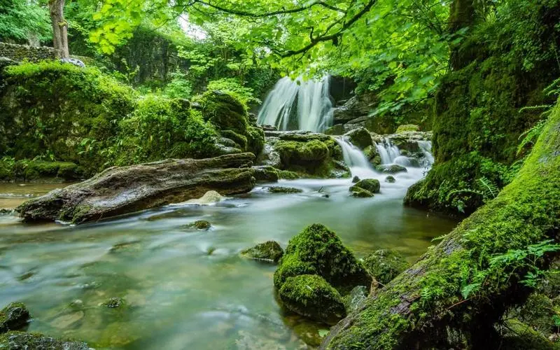 可靠性高性能高性能